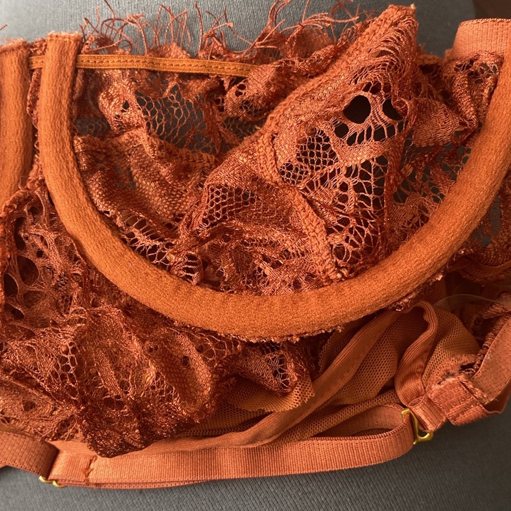 JLUXLABEL Rust Lace Bodysuit - Picture 7 of 11